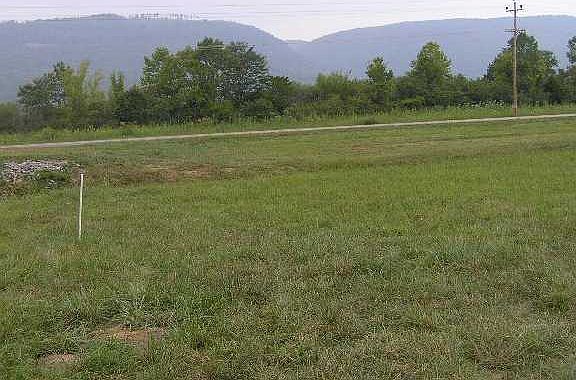 3rd image of 25 Little Ponderosa Trl