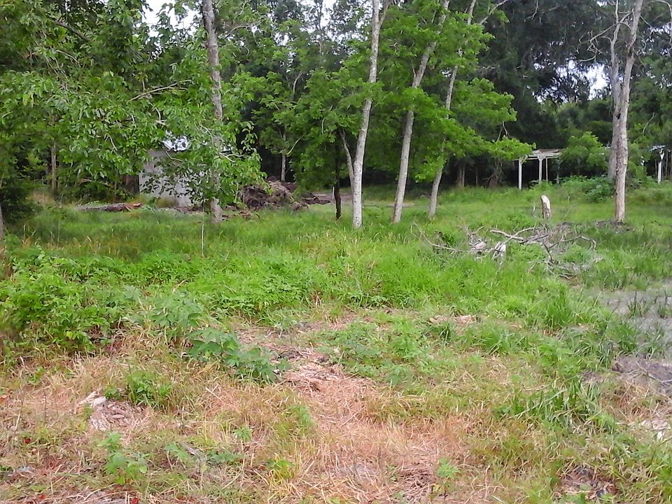1st image of 6203 Paloma Cir