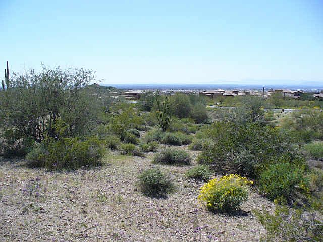 1st image of 3711 N Stone Point -- #130