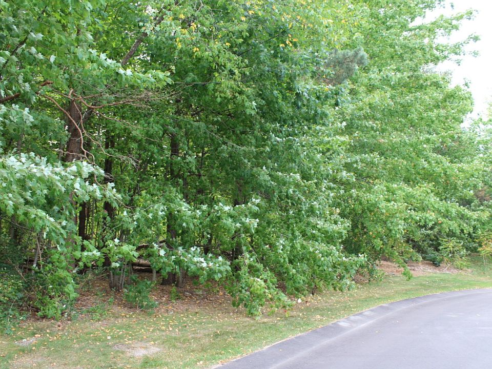 1st image of 13928 Westwood Ln