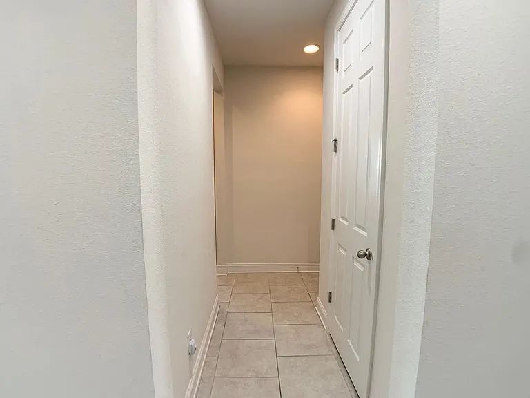 1499 Tropical Pine Cv — Photo 34