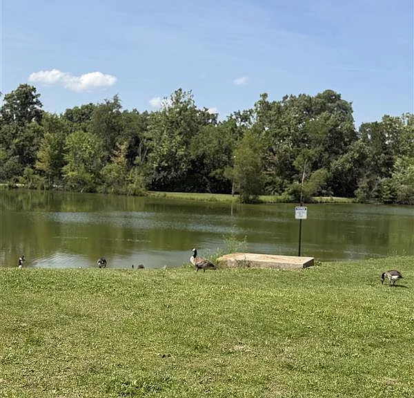216 Circle Dr #9R — Photo 7