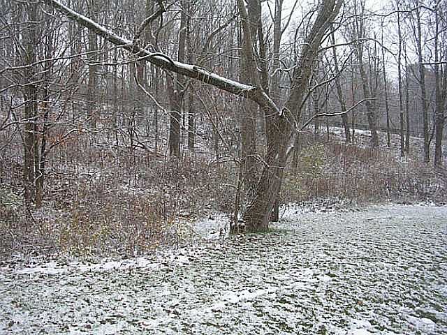 2nd image of 3220 Mill Rd
