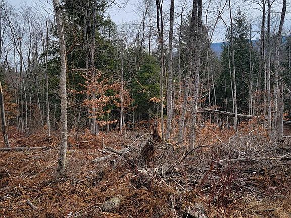 2nd image of 80 Crossover Road