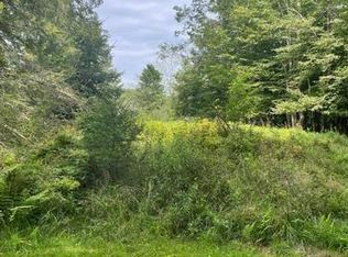 16 High St, Livingston Manor, NY 12758