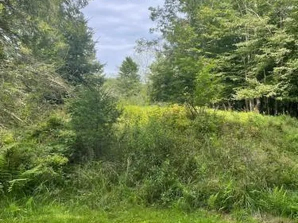 16 High Street, Livingston Manor, NY 12758