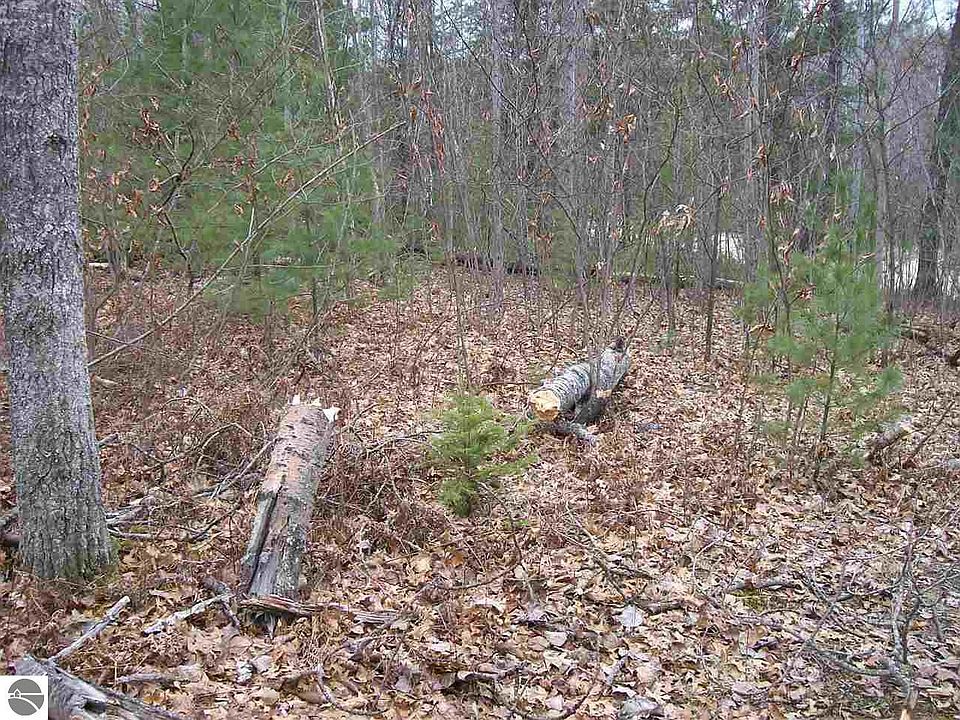 1st image of Onondaga Trl #1006