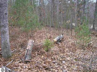 Onondaga Trl #1006, West Branch, MI 48661