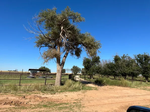 0 Fm 597, Anton, TX 79313