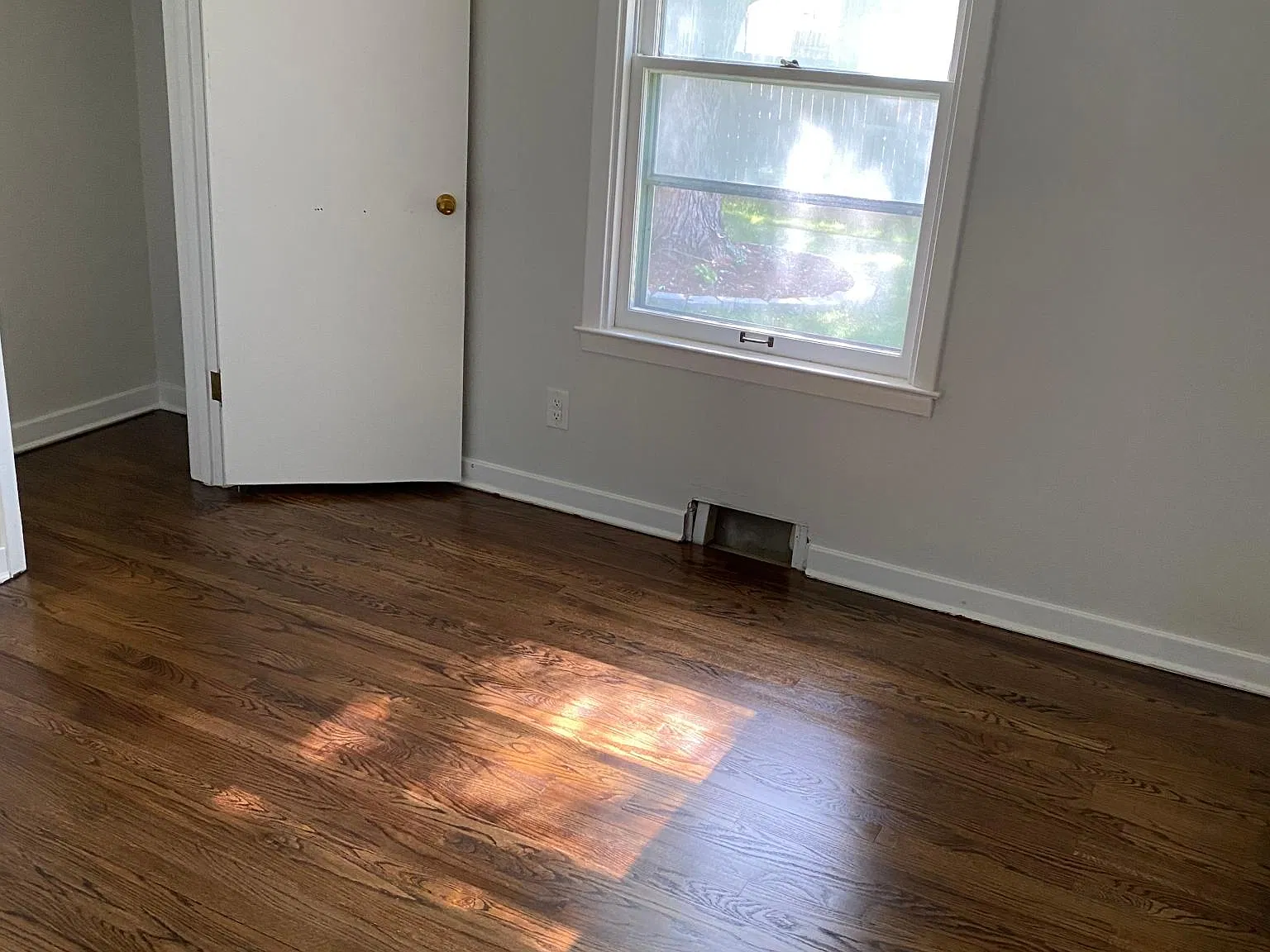 1 bed, 550 sqft, $795 — Photo 3