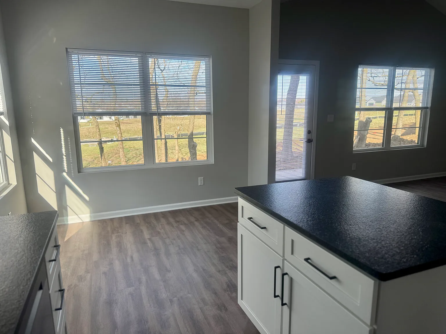 3 bed, 1380 sqft, $2,296 — Photo 3