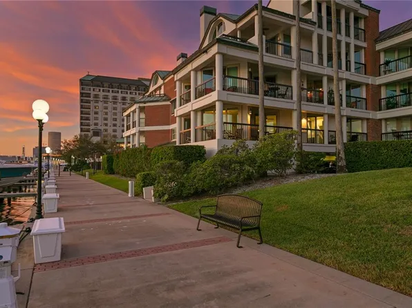 703 Seddon Cove Way #703, Tampa, FL 33602