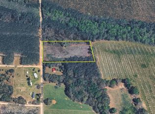 0 Son Thomas Rd, Blackshear, GA 31557