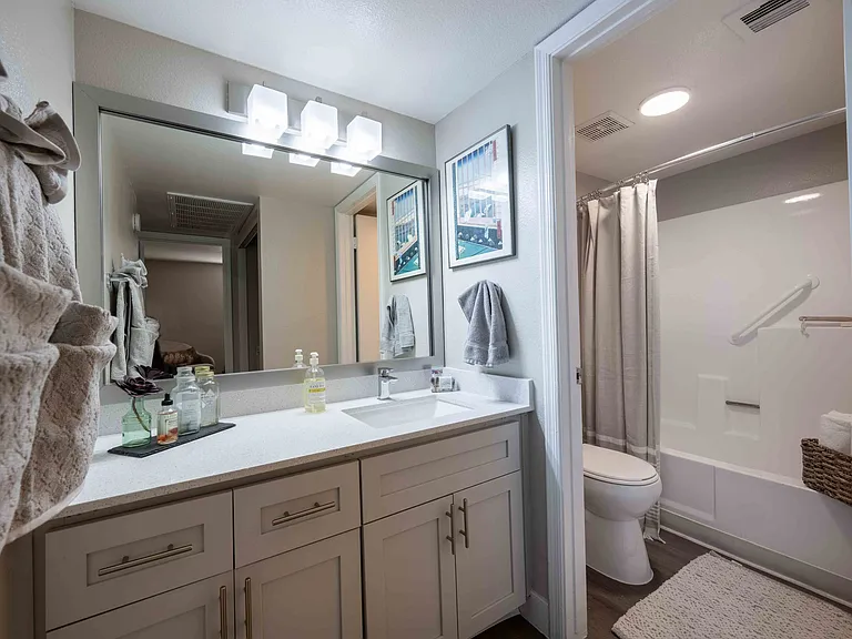 Platinum Bathroom