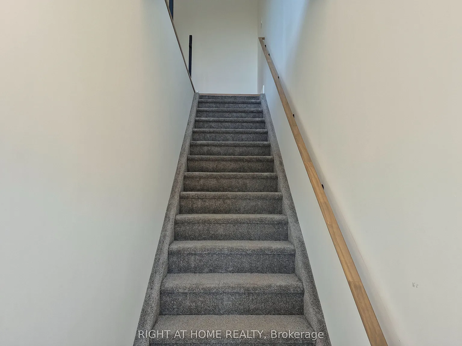 19 James St — Photo 4