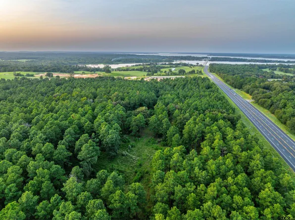 TRACT 4 State Highway 155, Frankston, TX 75763
