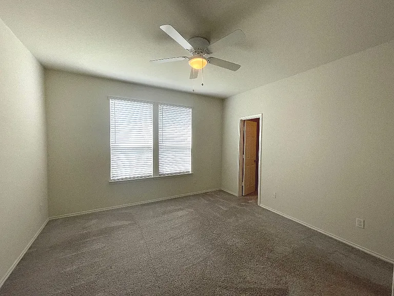 208 Texas Thistle — Photo 28
