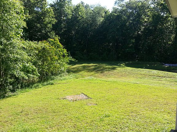 back yard view