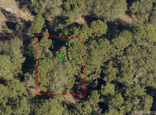 2603 Reagan St, Inverness, FL 34453