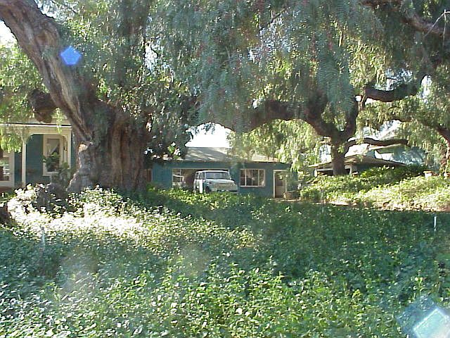2nd image of 457 Olive Hill Way