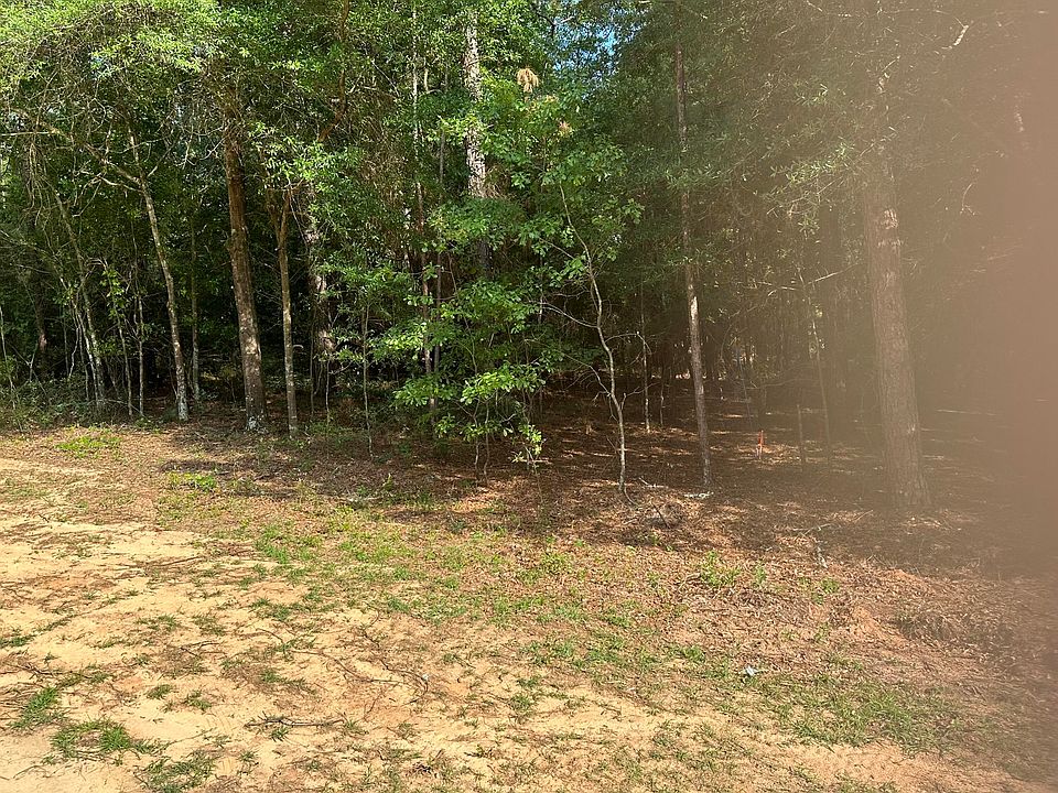 2nd image of LOT Washington Ave