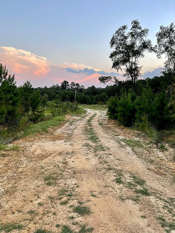 809 Hawthorne Rd, Tibbie, AL 36583 Zillow