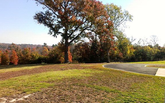 4th image of 945 An County Road 2150