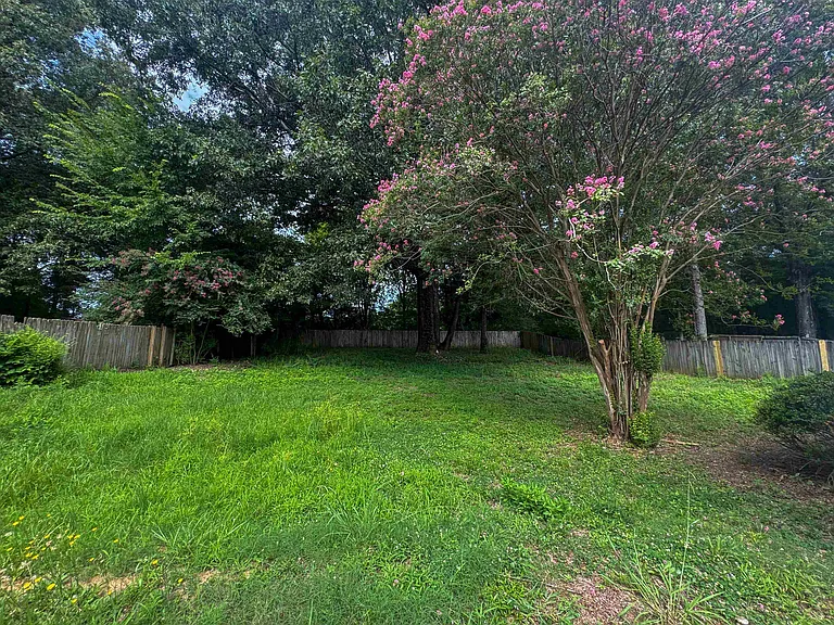 347 Dove Valley Rd — Photo 11