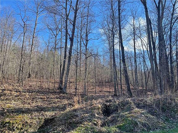 4th image of 0 Rockfence Rd