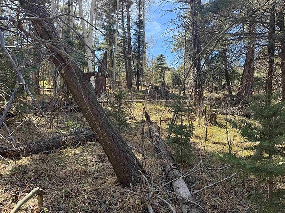 2nd image of Lot 272 Vail Loop