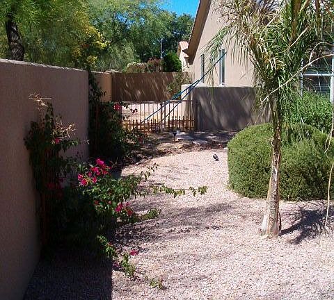 Large side yard for dog run or storage