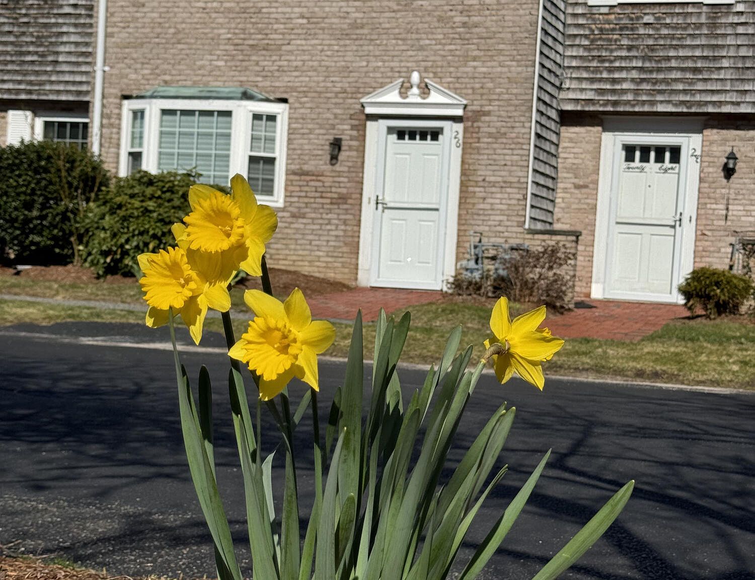 26 Captain Cook Lane, Centerville, MA 02632 Zillow