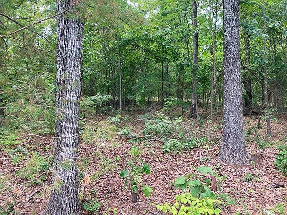 2nd image of Ridgecrest Dr