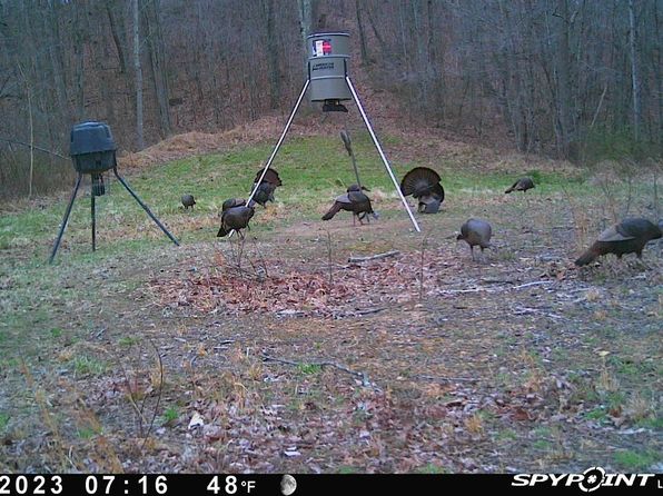 755 Collier Rd, South Webster, OH 45682