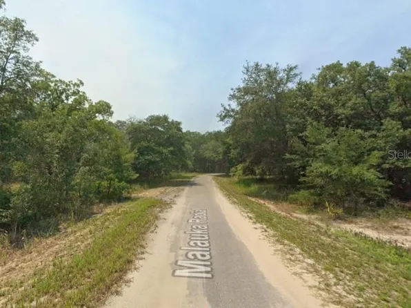 Malauka Radl Lot 38, Ocklawaha, FL 32179