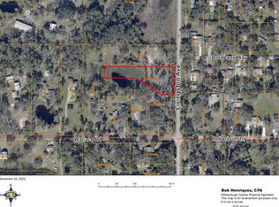 19380 Livingston Ave, Lutz, FL 33549