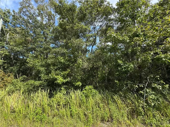 0 Rosy Gull Ave, Brooksville, FL 34614