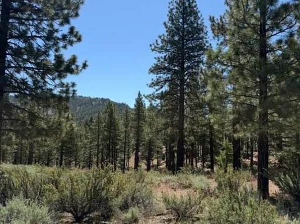 205 Haskell Mill Ct, Carson City, NV 89705