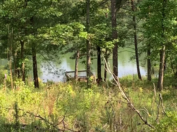 0 Mountain Rivers Ln, Mineral Bluff, GA 30559