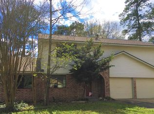 23807 Spring Briar Ln, Spring, TX 77373