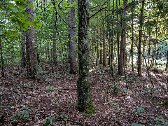 4th image of LOT 2 Germantown Dr