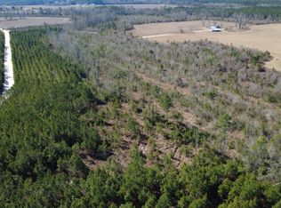 TRACT 5 Greyhound Rd, Mershon, GA 31551