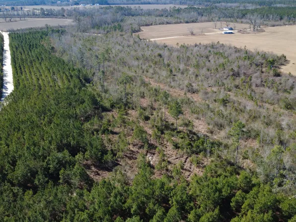 TRACT 5 Greyhound Rd, Mershon, GA 31551