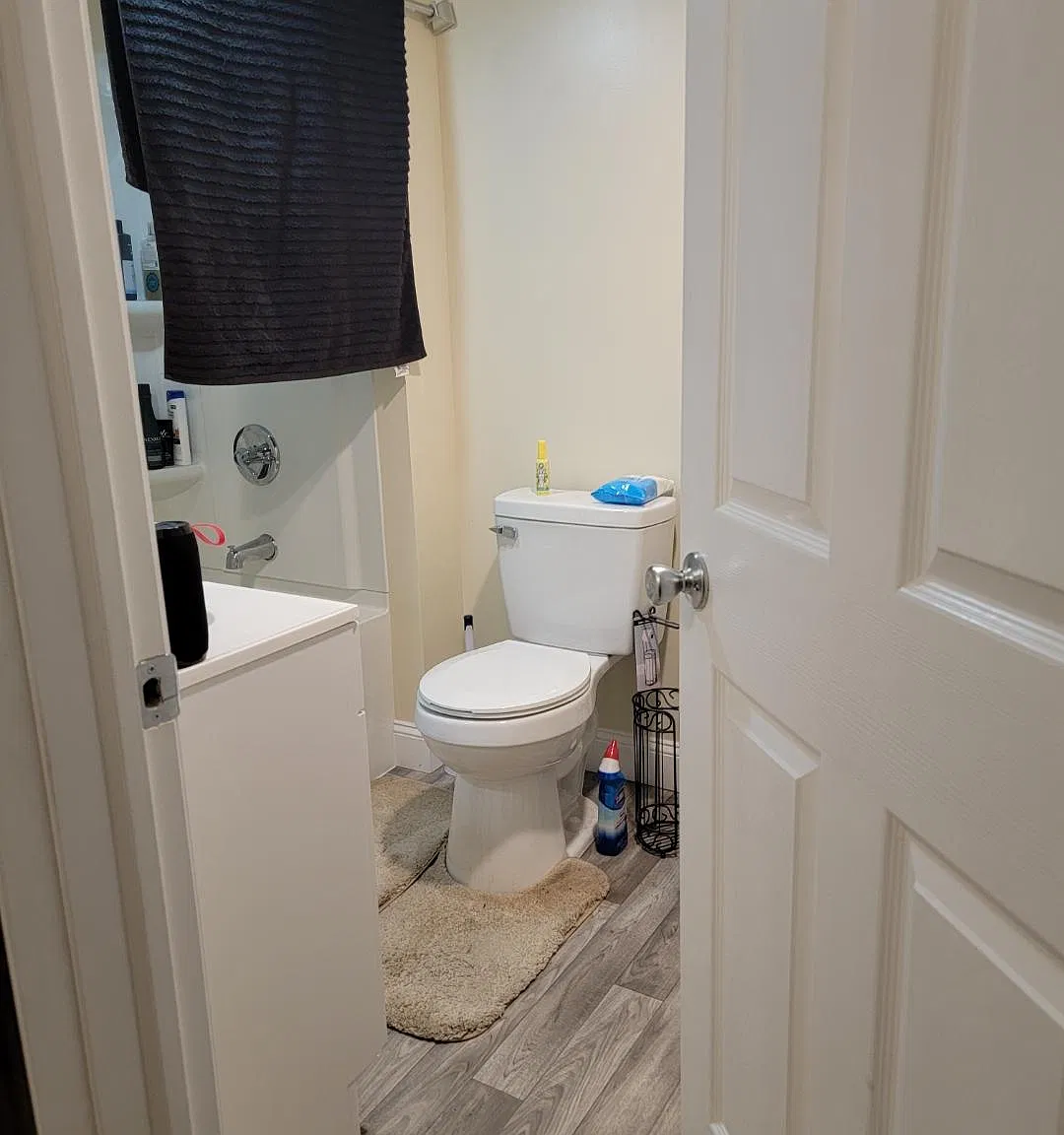 3 bed, 1200 sqft, $1,875 — Photo 4
