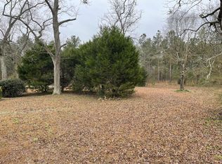 2441 Lower Meigs Rd, Meigs, GA 31765