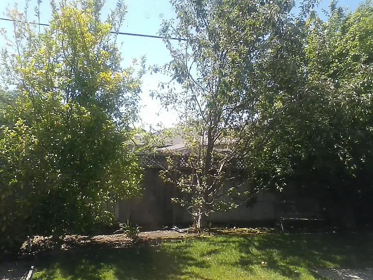 3354 Fowler Ave — Photo 6