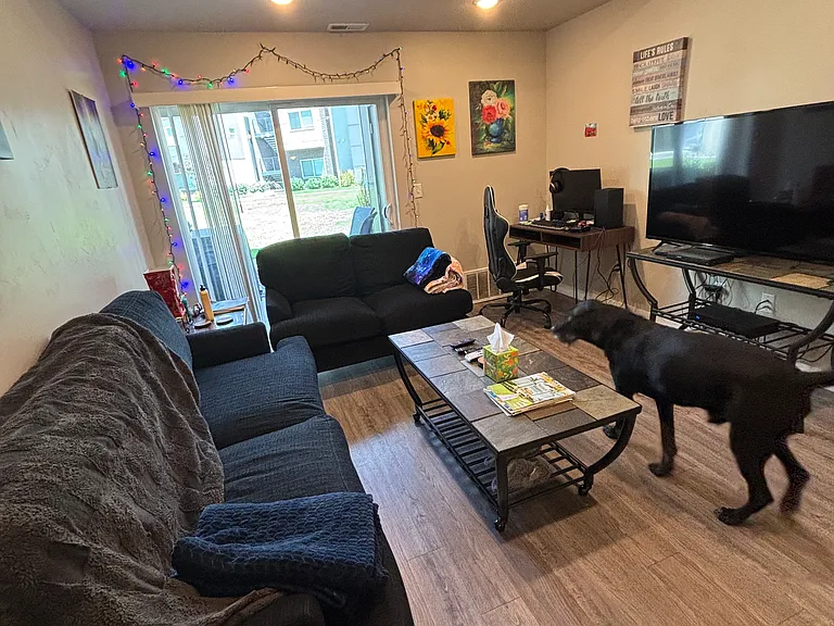 262 N 540 E #105 — Photo 3