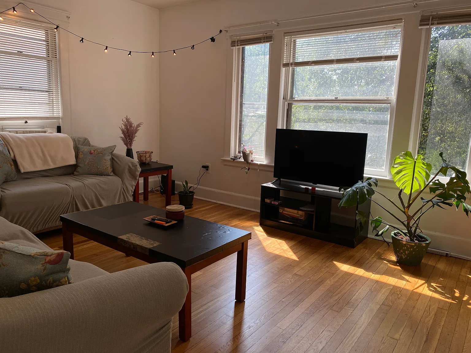 3 bed, 1000 sqft, $2,325 — Photo 2