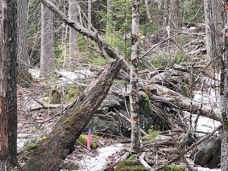 1st image of 00 Rogers Road