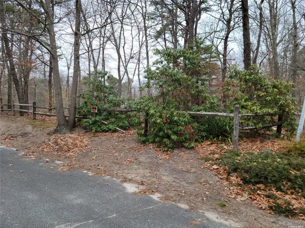 v/l Silas Carter Road, Manorville, NY 11949